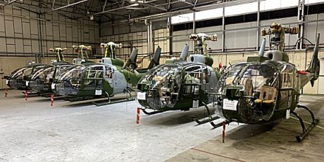 Gazzelles in a hangar